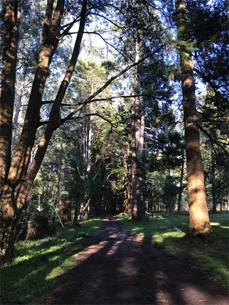 ‘Skin to Dirt’ Connecting to Mother Earth for Balance