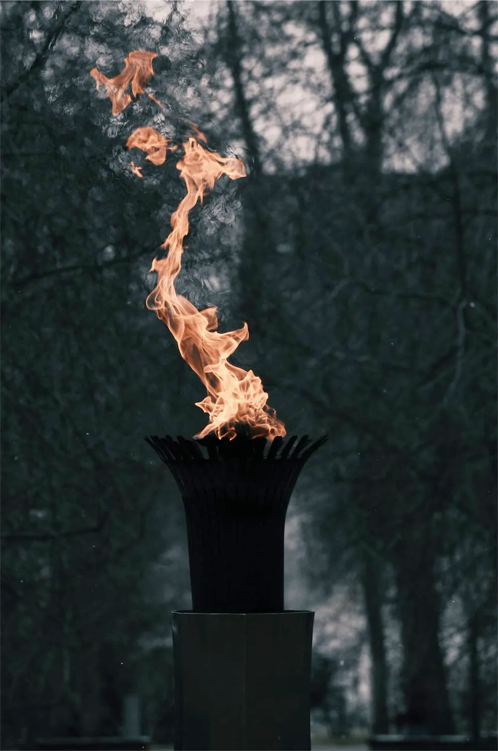 You Are The Torch