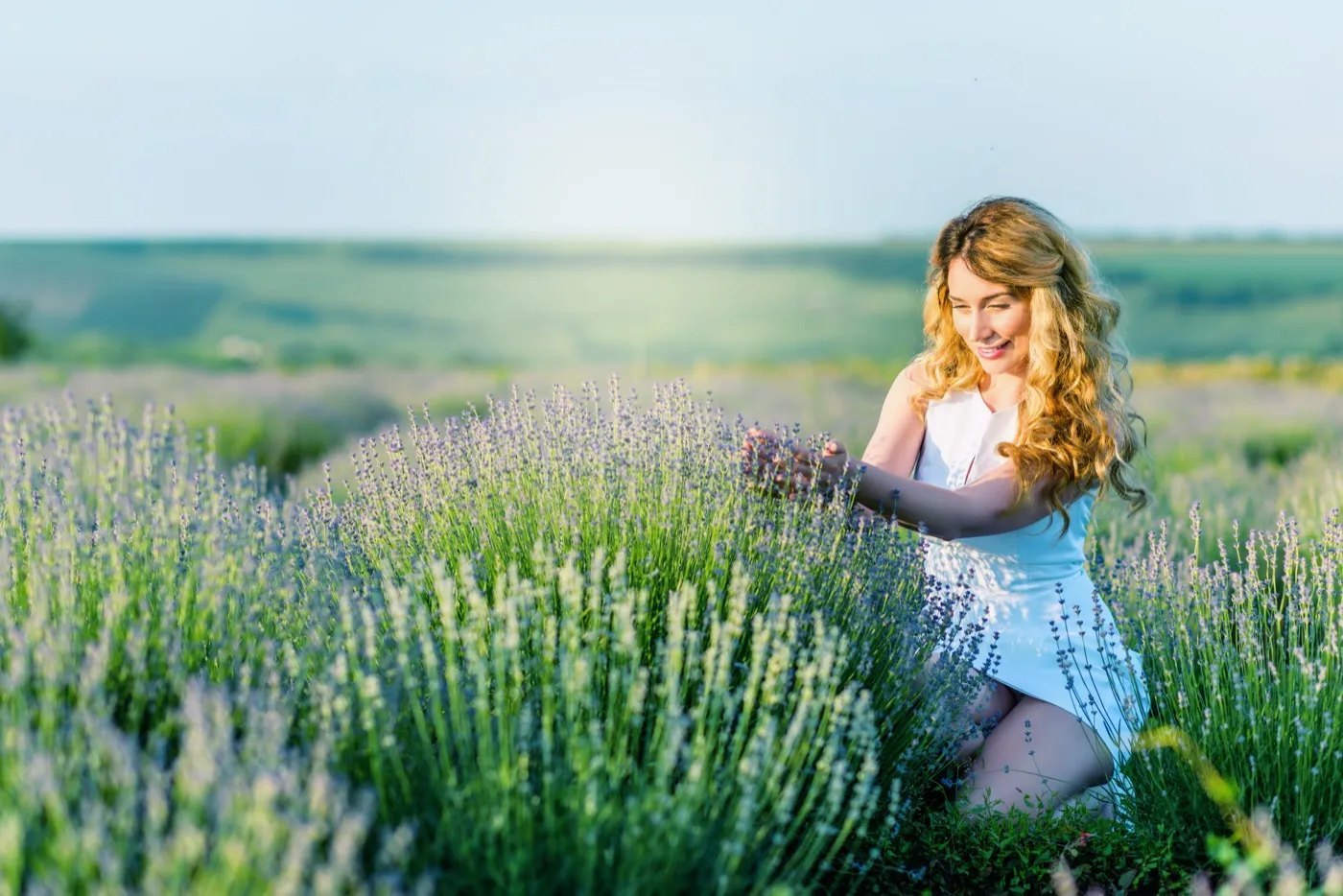 A woman in a white dress gathering lavender in a sunlit field at golden hour