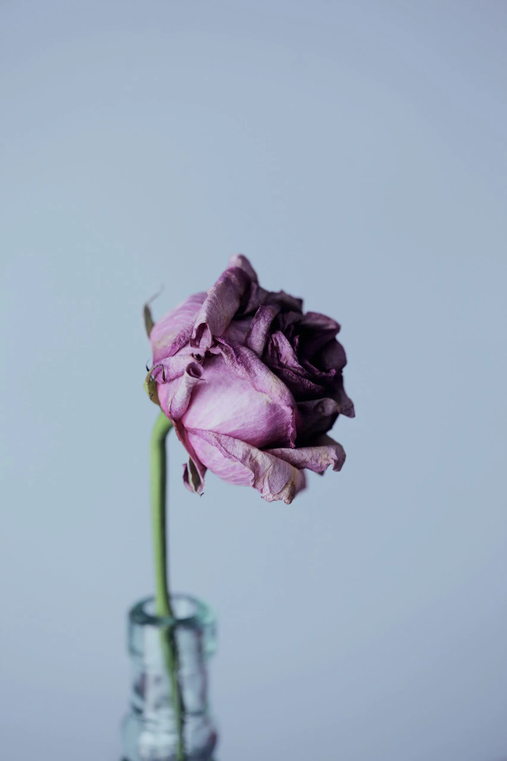 On Death & Dying